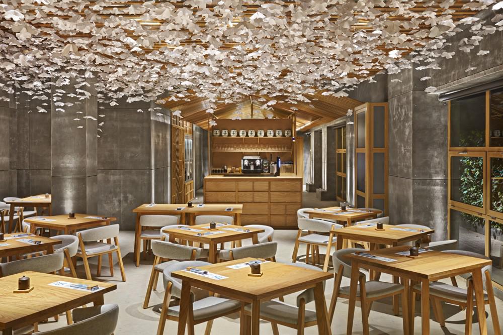 Nozomi Sushi Bar，与樱花相遇